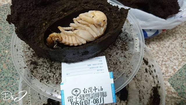 按此在新視窗瀏覽圖片