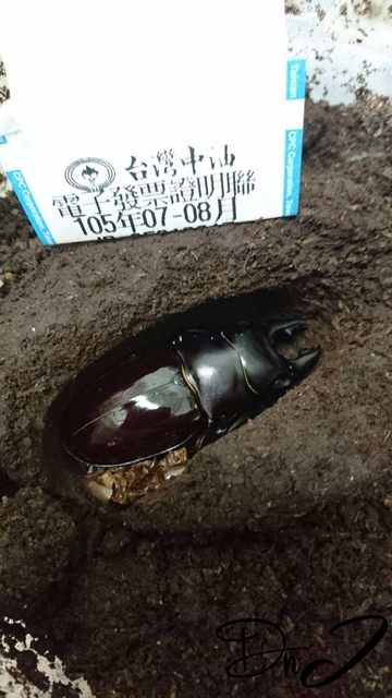 按此在新視窗瀏覽圖片