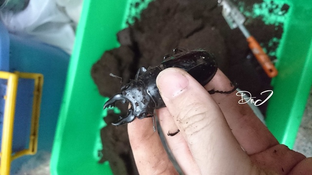 按此在新視窗瀏覽圖片