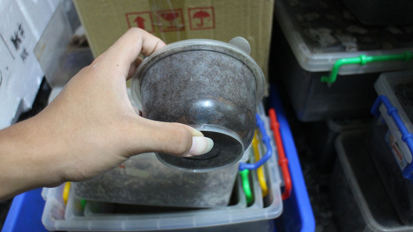 按此在新視窗瀏覽圖片