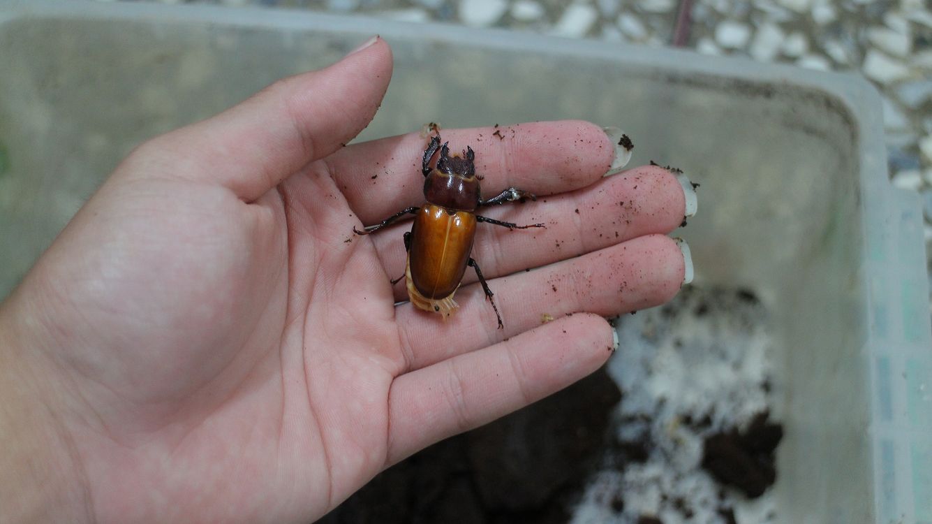 «ö¦¹¦b·sµøµ¡ÂsÄý¹Ï¤ù