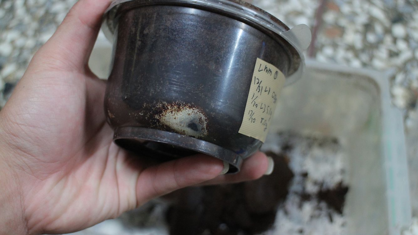 «ö¦¹¦b·sµøµ¡ÂsÄý¹Ï¤ù