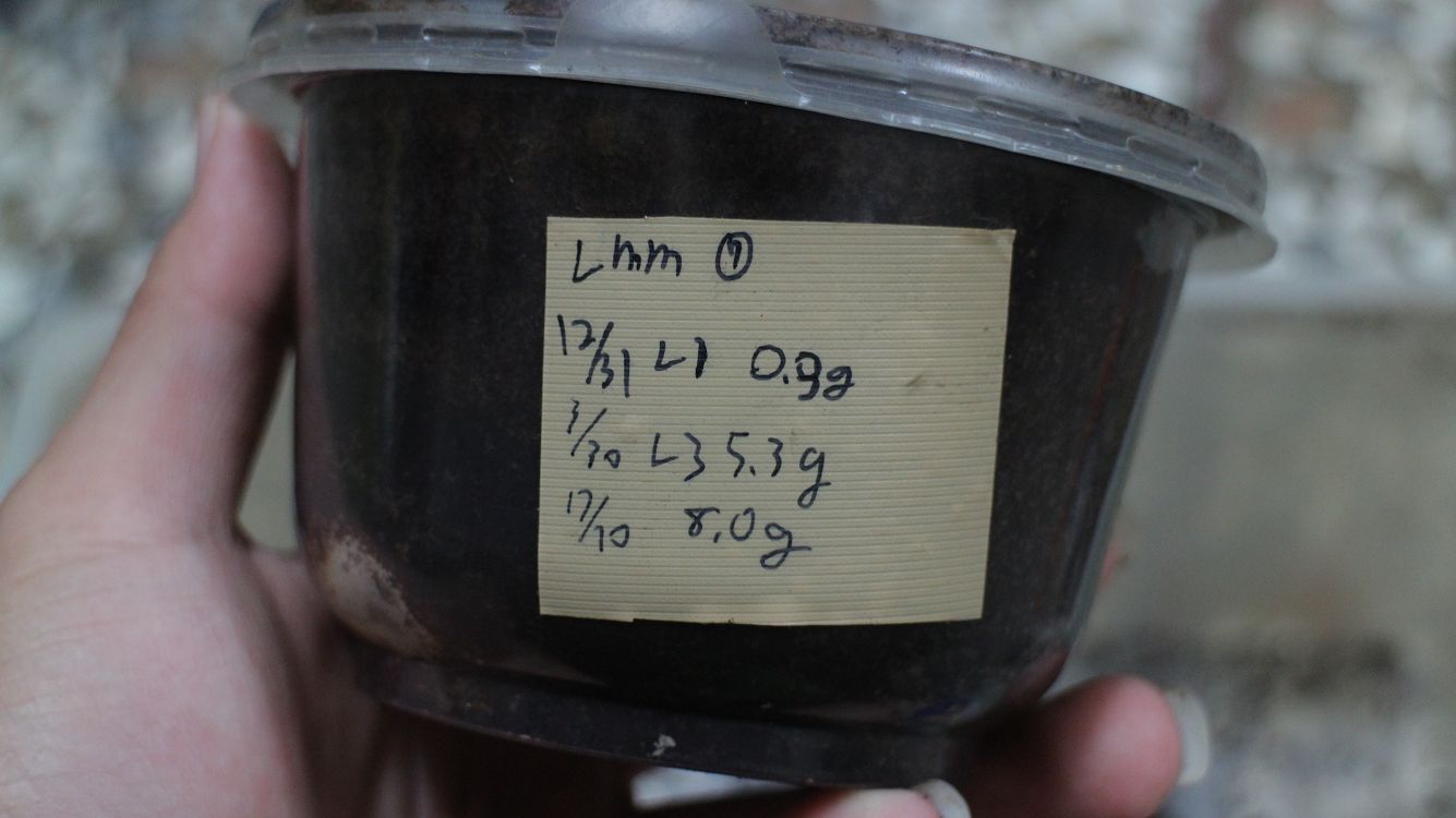 «ö¦¹¦b·sµøµ¡ÂsÄý¹Ï¤ù