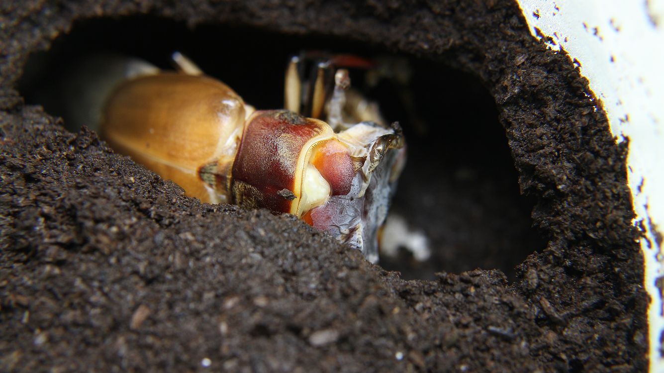 «ö¦¹¦b·sµøµ¡ÂsÄý¹Ï¤ù