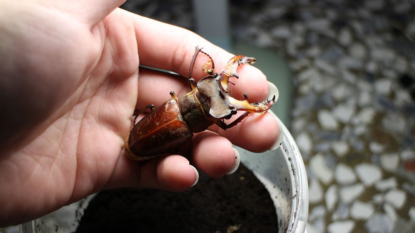 «ö¦¹¦b·sµøµ¡ÂsÄý¹Ï¤ù