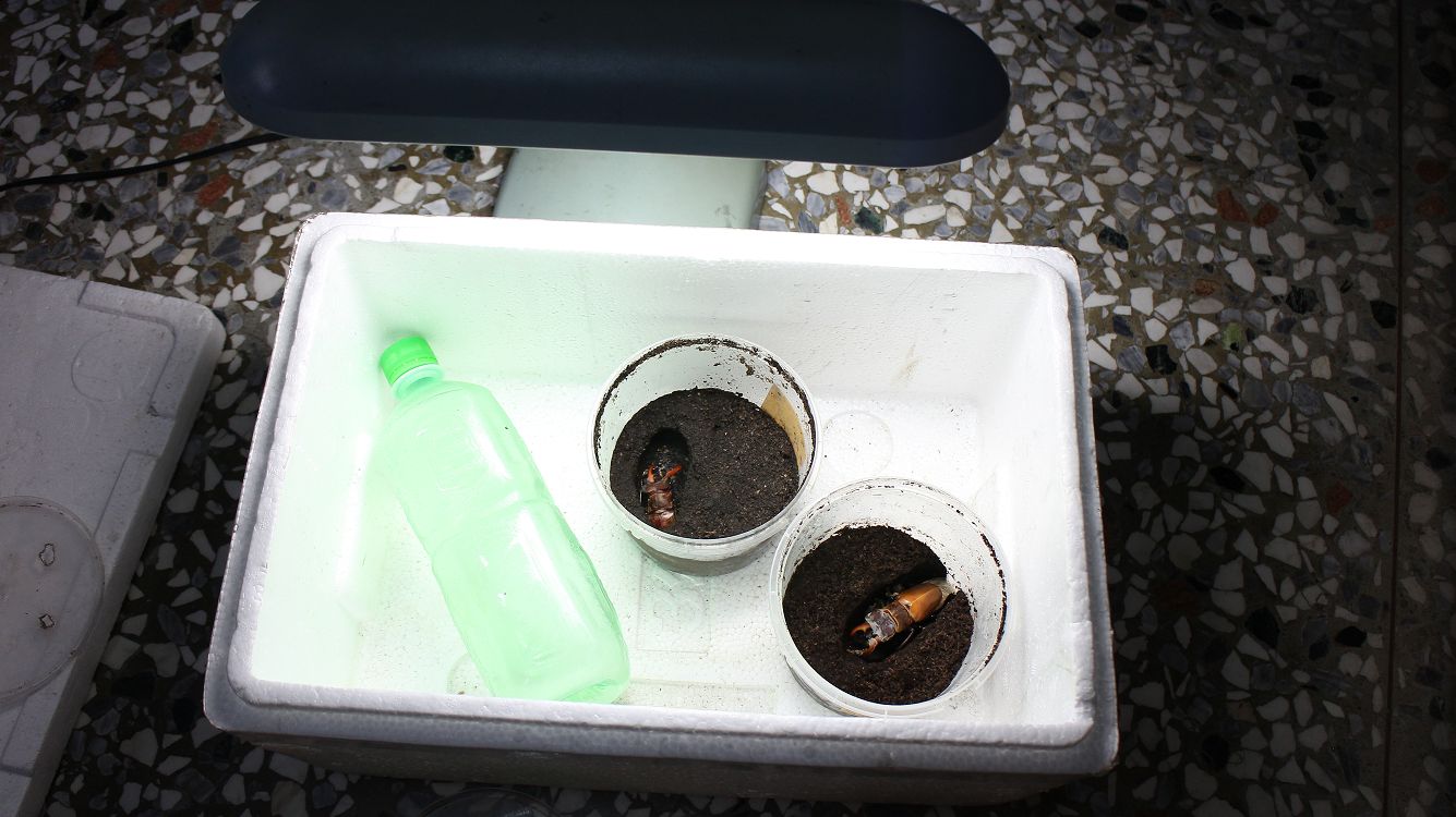 «ö¦¹¦b·sµøµ¡ÂsÄý¹Ï¤ù