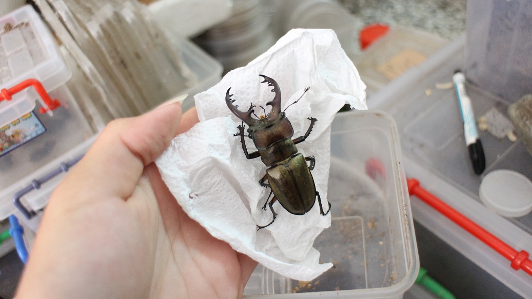 «ö¦¹¦b·sµøµ¡ÂsÄý¹Ï¤ù