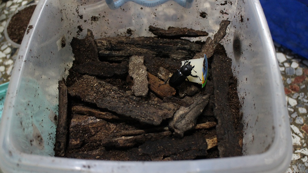 «ö¦¹¦b·sµøµ¡ÂsÄý¹Ï¤ù