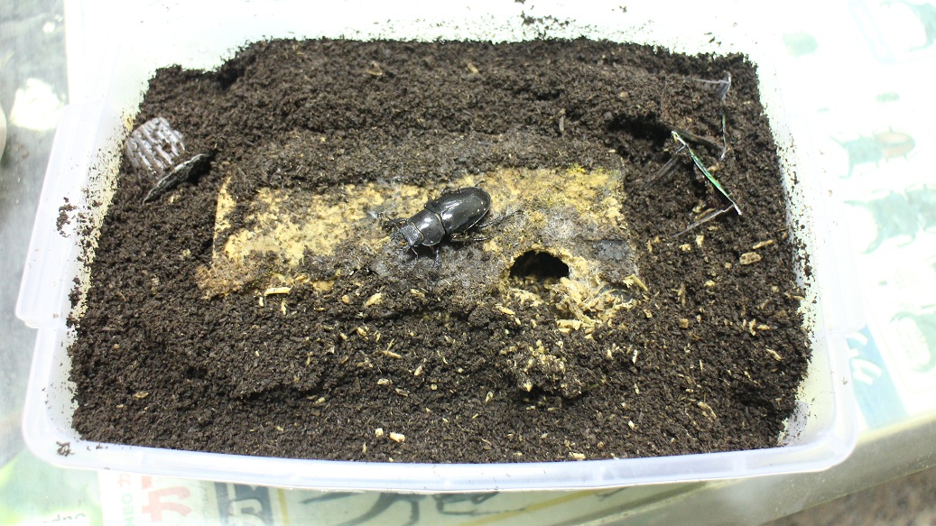 «ö¦¹¦b·sµøµ¡ÂsÄý¹Ï¤ù