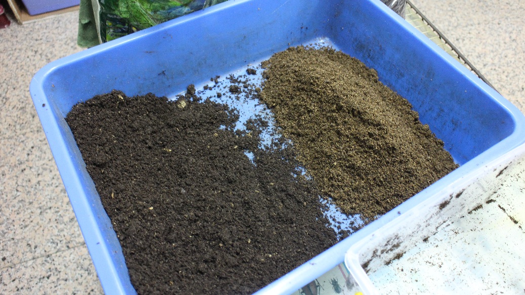 «ö¦¹¦b·sµøµ¡ÂsÄý¹Ï¤ù