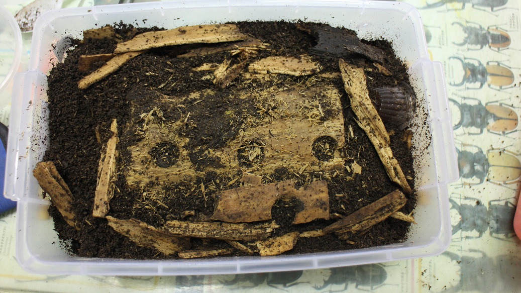 «ö¦¹¦b·sµøµ¡ÂsÄý¹Ï¤ù