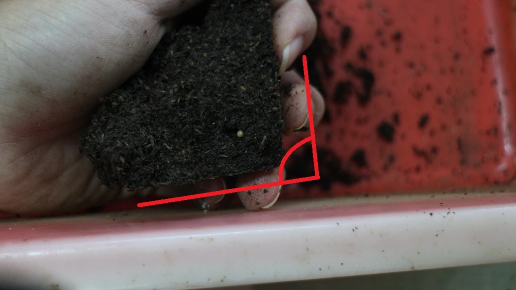 «ö¦¹¦b·sµøµ¡ÂsÄý¹Ï¤ù