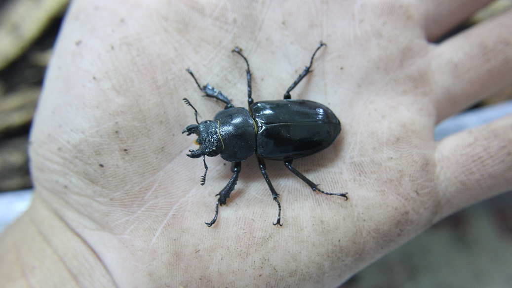 «ö¦¹¦b·sµøµ¡ÂsÄý¹Ï¤ù