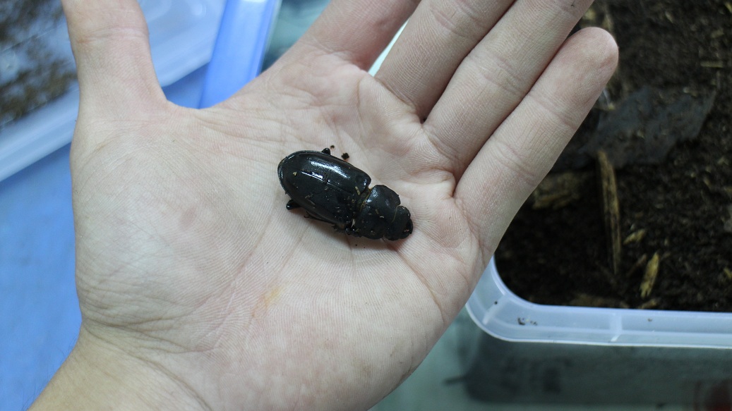 «ö¦¹¦b·sµøµ¡ÂsÄý¹Ï¤ù