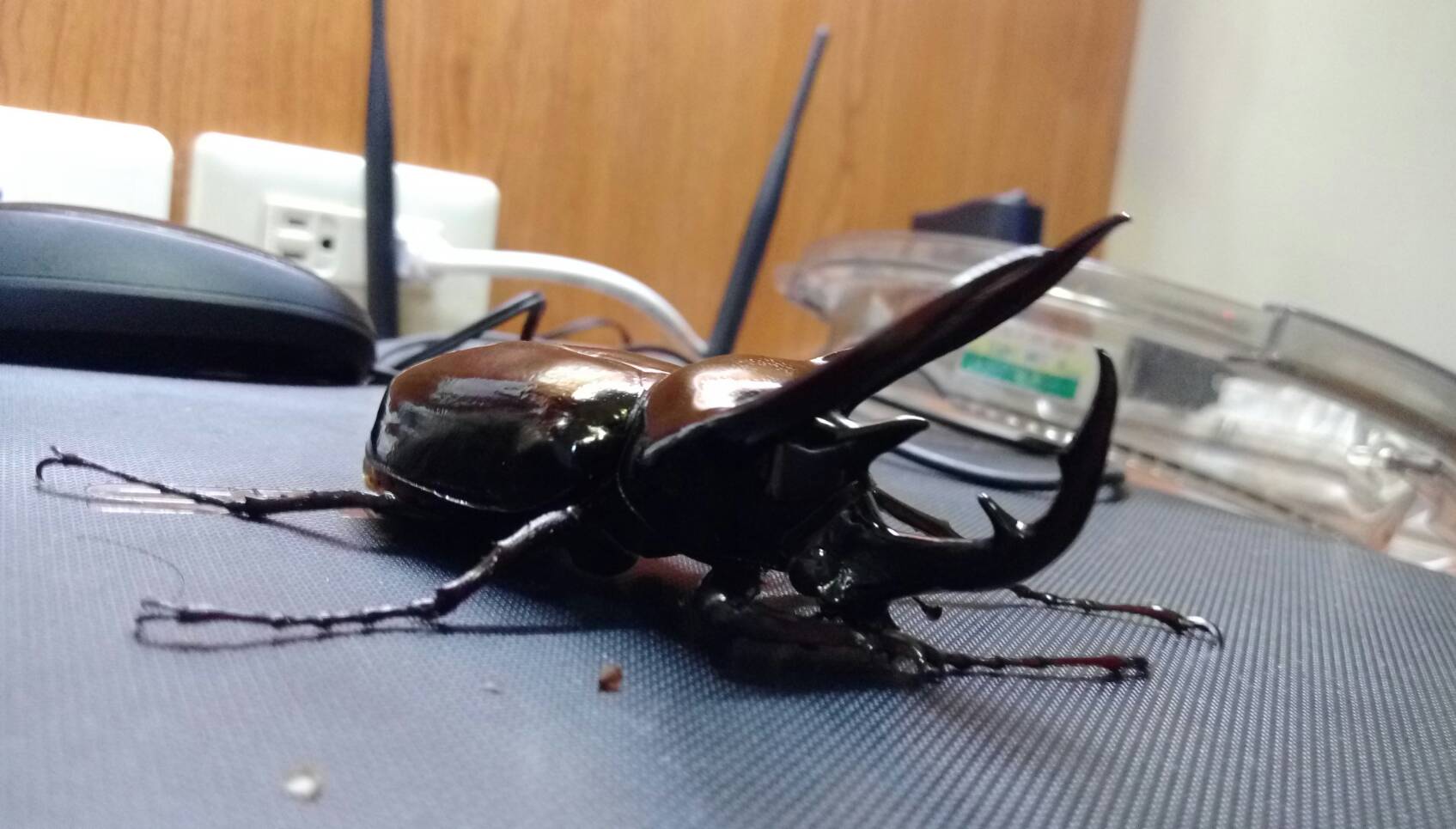 按此在新視窗瀏覽圖片