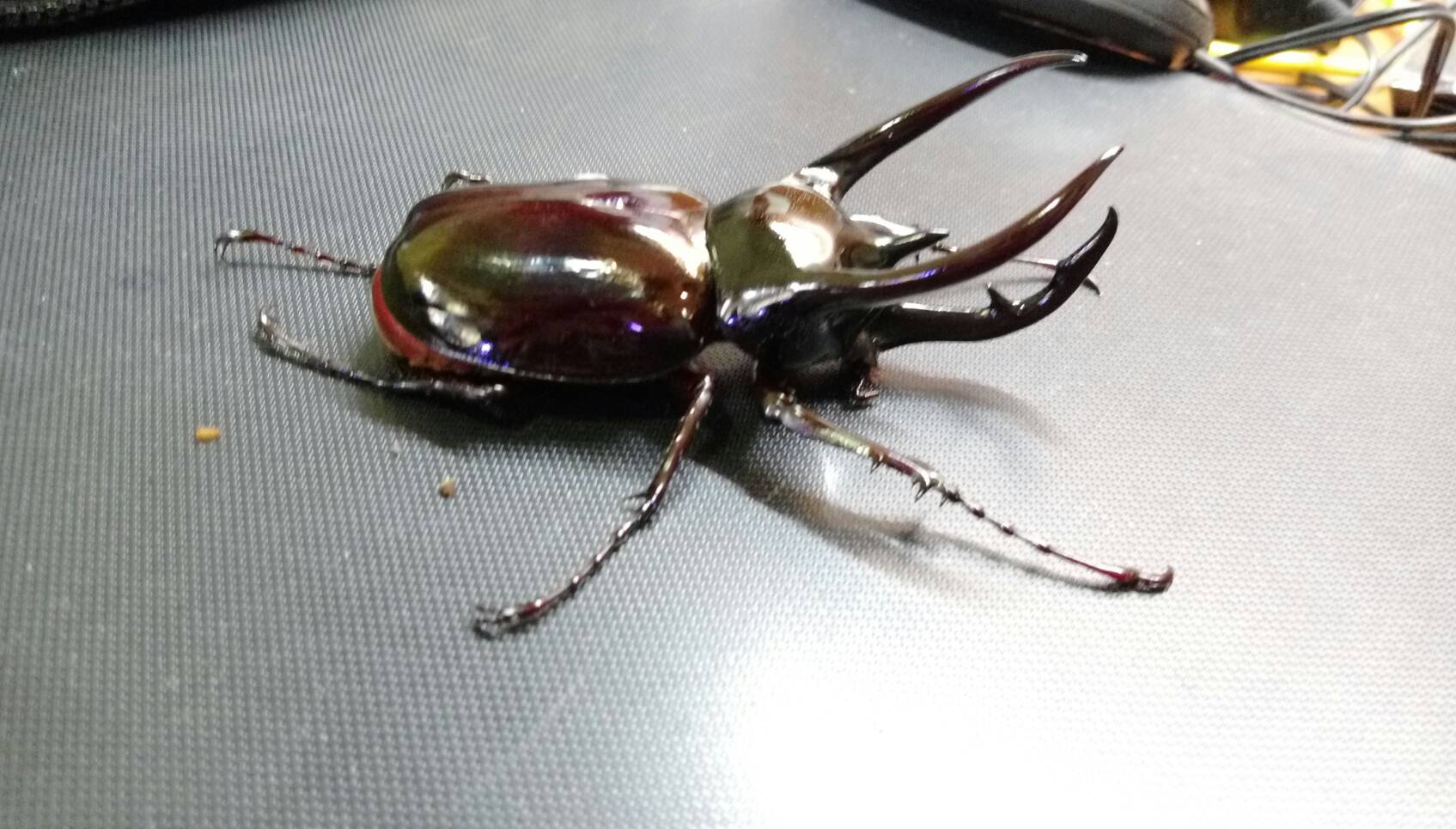 按此在新視窗瀏覽圖片