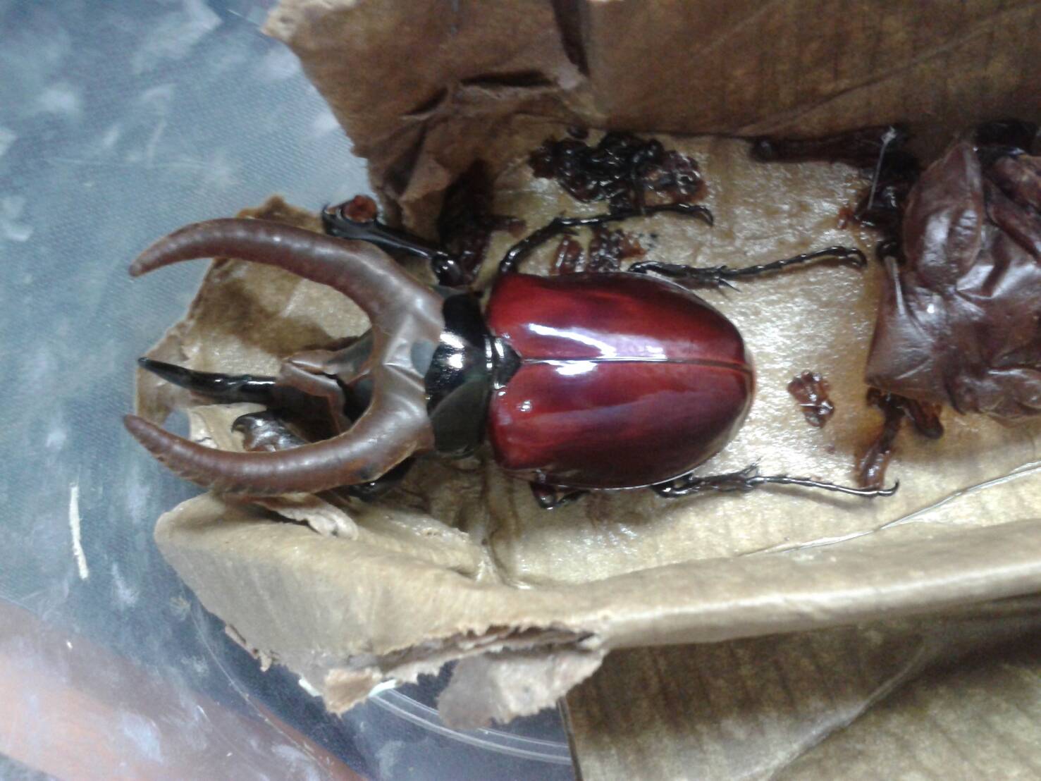 按此在新視窗瀏覽圖片