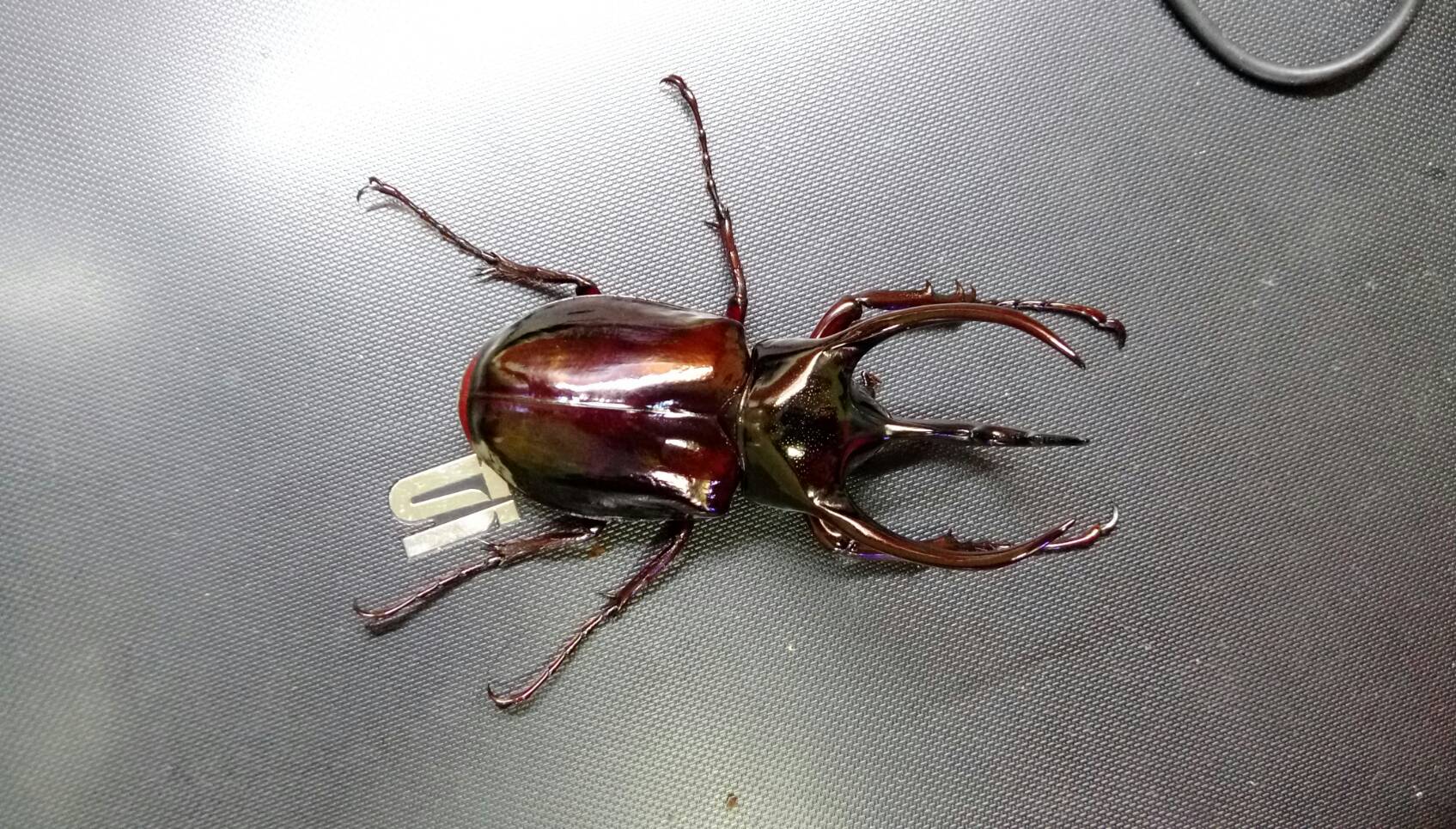 按此在新視窗瀏覽圖片