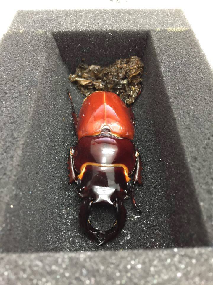 按此在新視窗瀏覽圖片