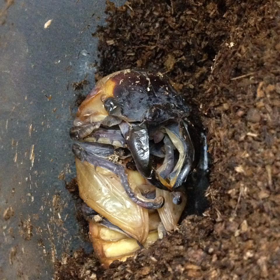 按此在新視窗瀏覽圖片