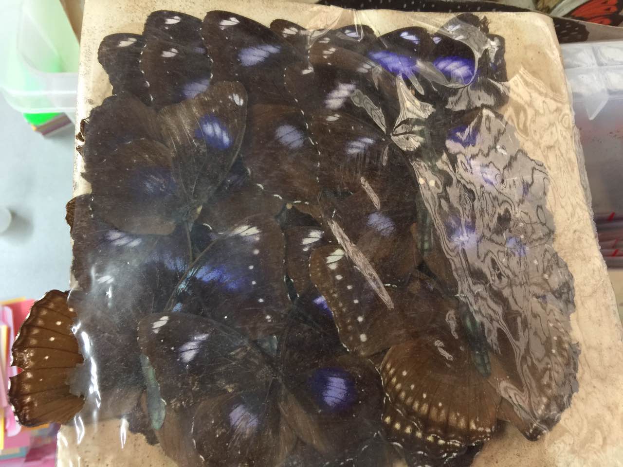 按此在新視窗瀏覽圖片