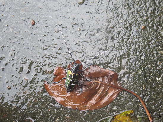 按此在新視窗瀏覽圖片