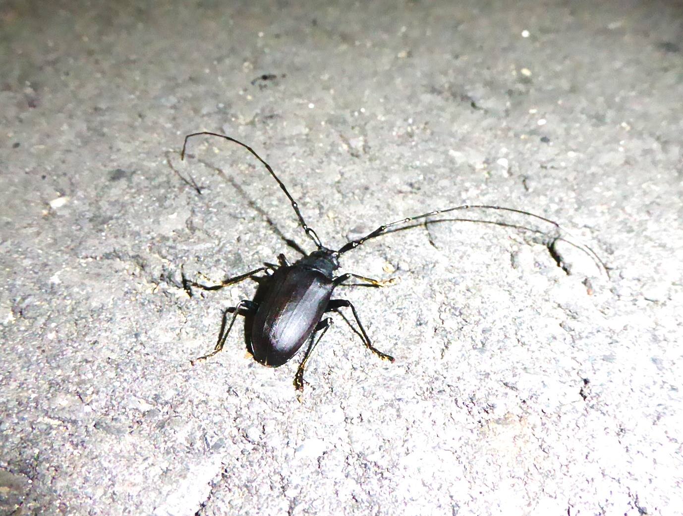 按此在新視窗瀏覽圖片