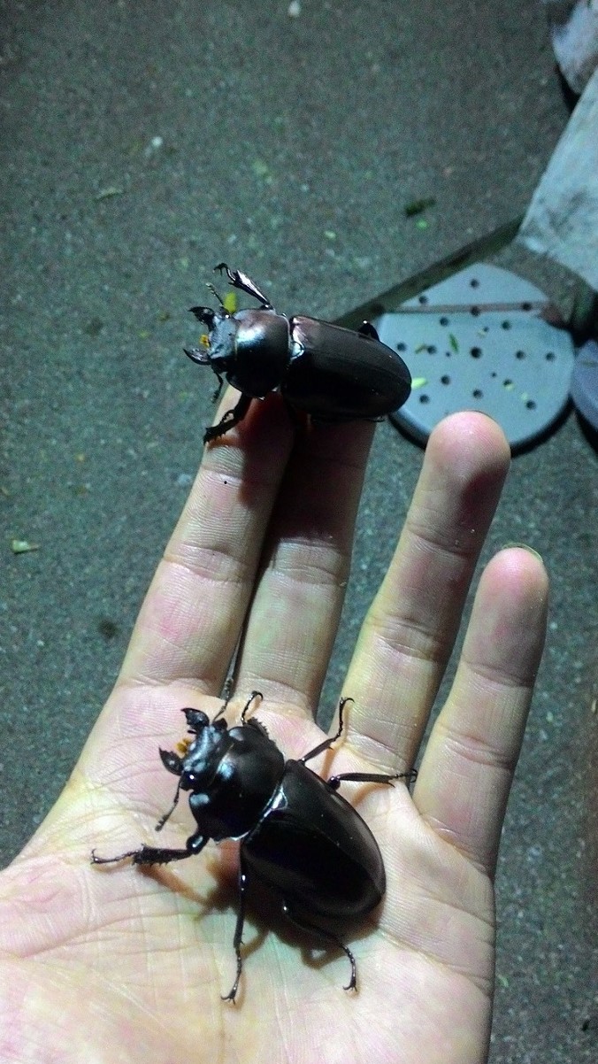 «ö¦¹¦b·sµøµ¡ÂsÄý¹Ï¤ù