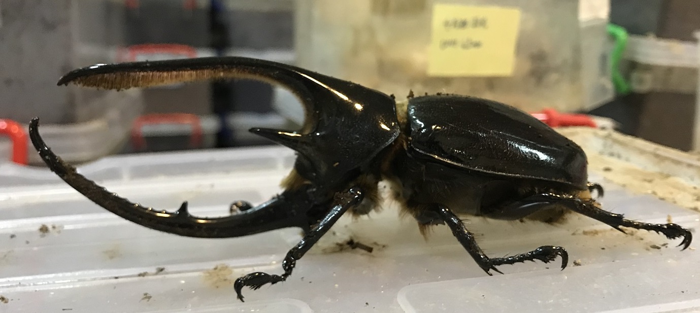 按此在新視窗瀏覽圖片