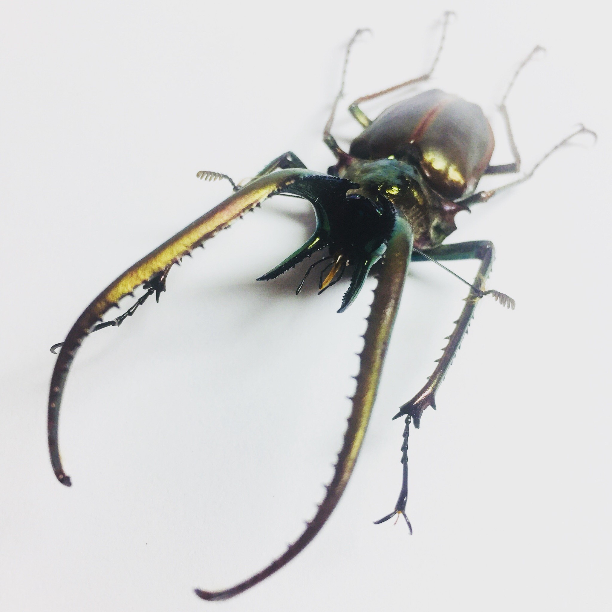 按此在新視窗瀏覽圖片