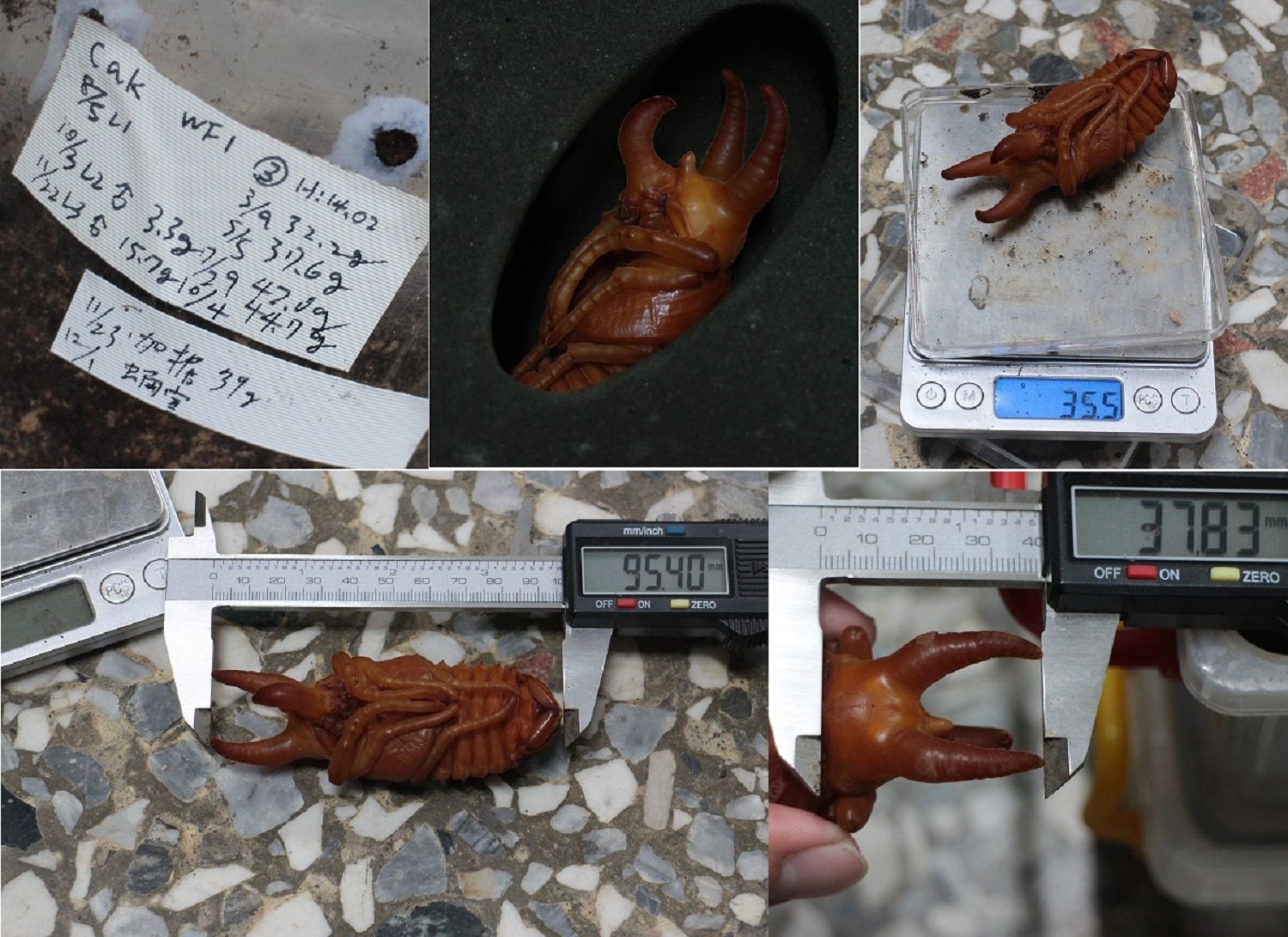 按此在新視窗瀏覽圖片