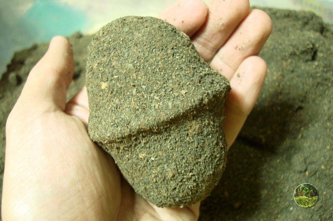 «ö¦¹¦b·sµøµ¡ÂsÄý¹Ï¤ù