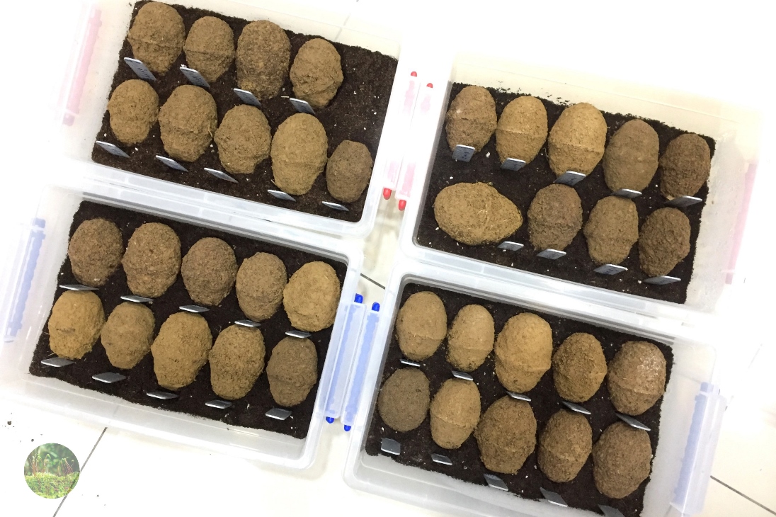 «ö¦¹¦b·sµøµ¡ÂsÄý¹Ï¤ù