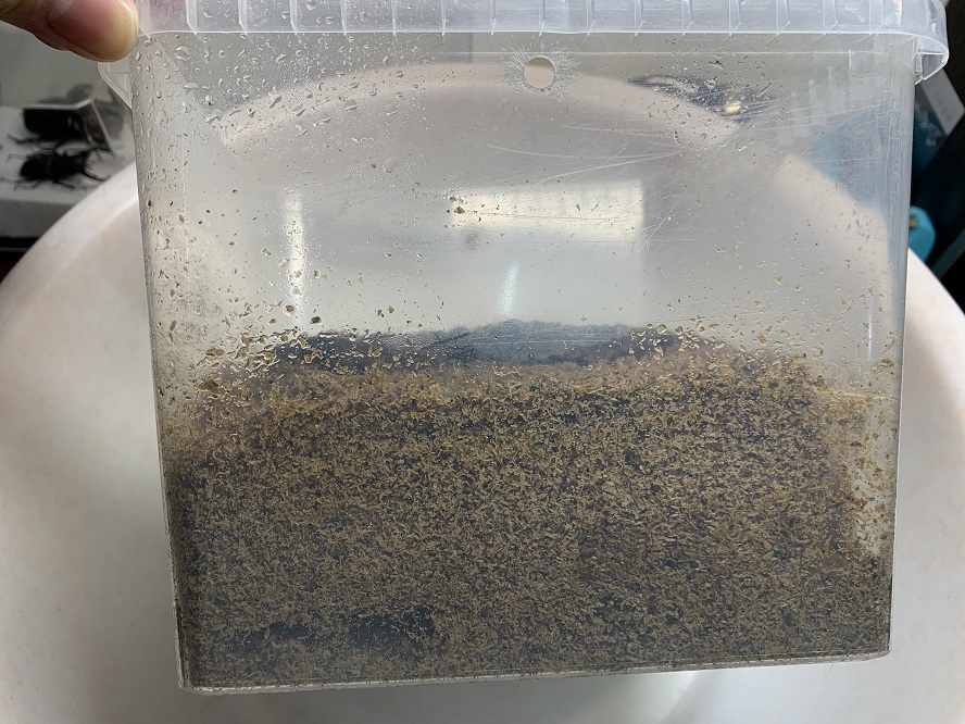 按此在新視窗瀏覽圖片