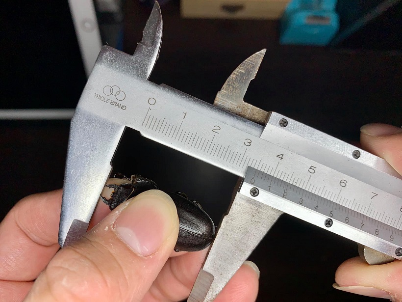 «ö¦¹¦b·sµøµ¡ÂsÄý¹Ï¤ù