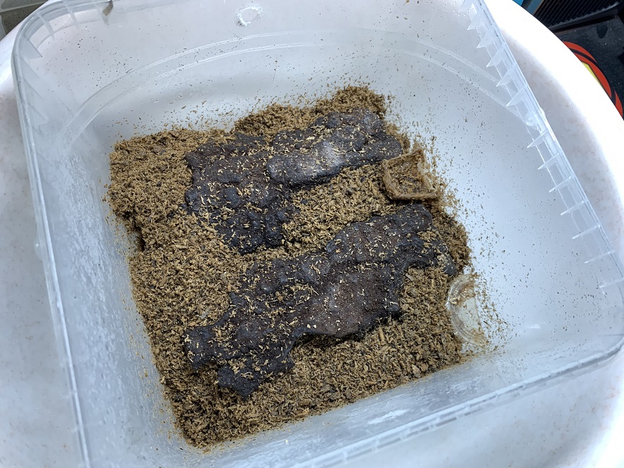 «ö¦¹¦b·sµøµ¡ÂsÄý¹Ï¤ù