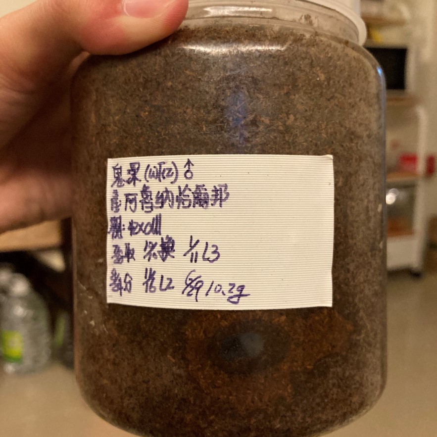 «ö¦¹¦b·sµøµ¡ÂsÄý¹Ï¤ù