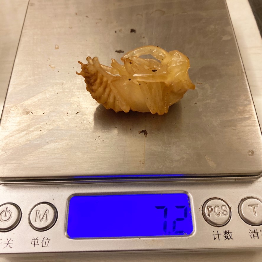 «ö¦¹¦b·sµøµ¡ÂsÄý¹Ï¤ù