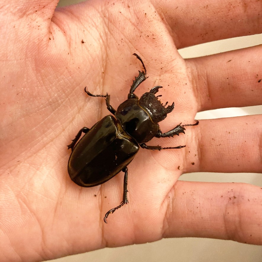 «ö¦¹¦b·sµøµ¡ÂsÄý¹Ï¤ù