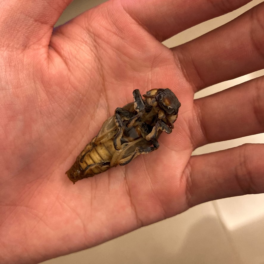 «ö¦¹¦b·sµøµ¡ÂsÄý¹Ï¤ù