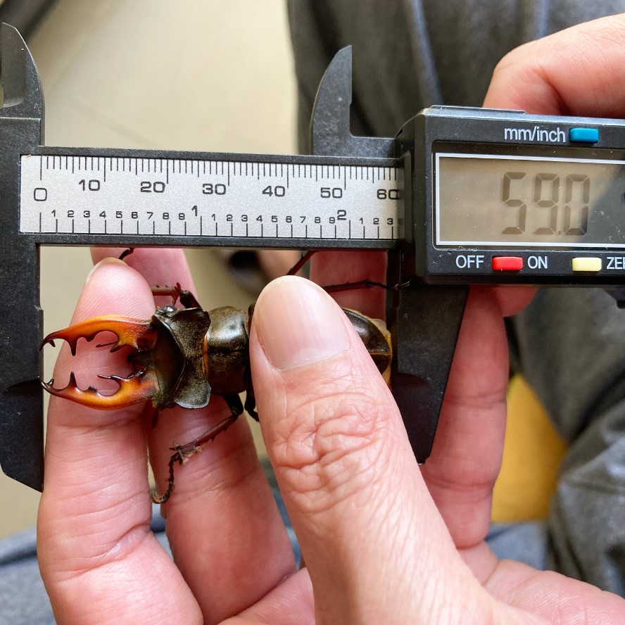 «ö¦¹¦b·sµøµ¡ÂsÄý¹Ï¤ù