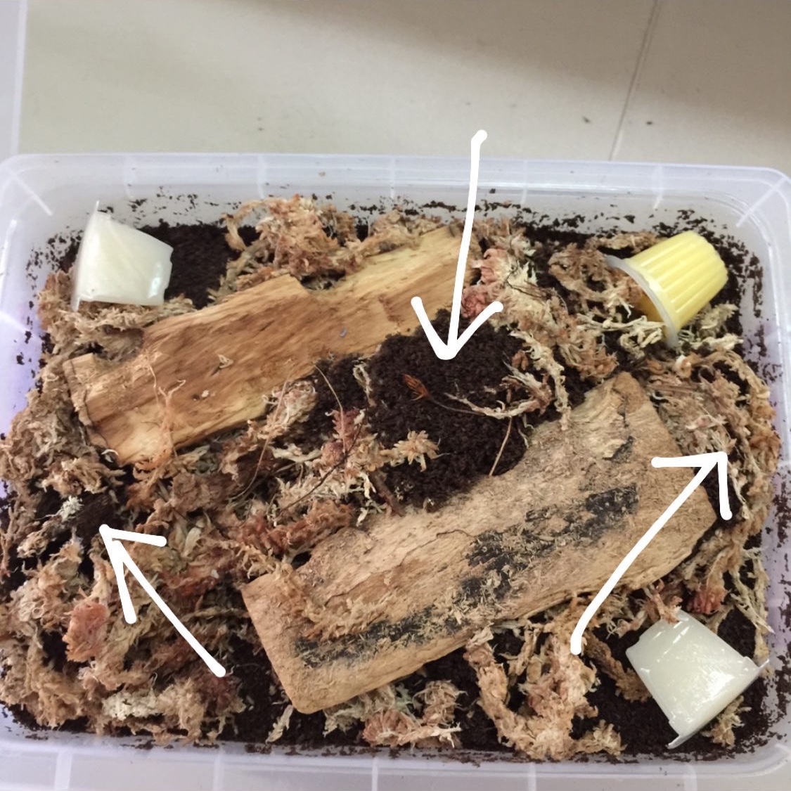 «ö¦¹¦b·sµøµ¡ÂsÄý¹Ï¤ù