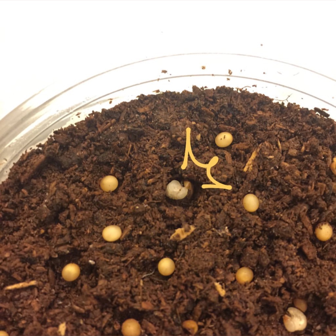 «ö¦¹¦b·sµøµ¡ÂsÄý¹Ï¤ù