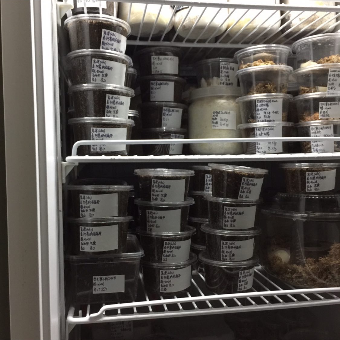 «ö¦¹¦b·sµøµ¡ÂsÄý¹Ï¤ù