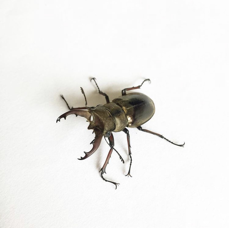 «ö¦¹¦b·sµøµ¡ÂsÄý¹Ï¤ù