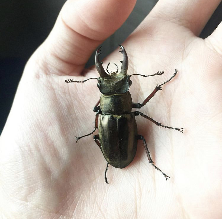 «ö¦¹¦b·sµøµ¡ÂsÄý¹Ï¤ù