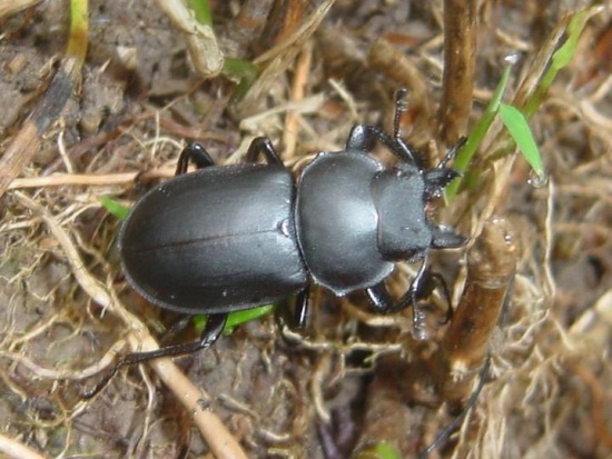 «ö¦¹¦b·sµøµ¡ÂsÄý¹Ï¤ù