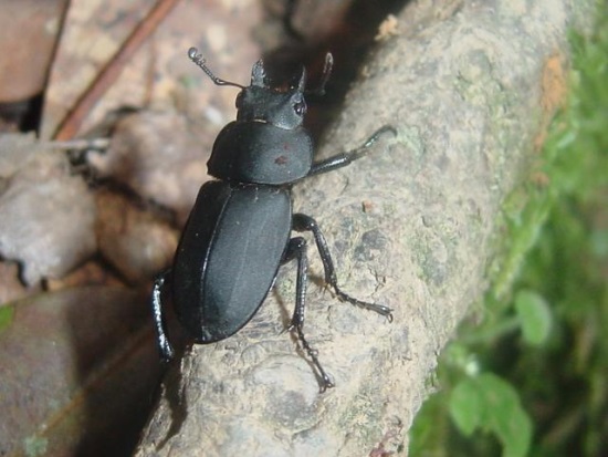 «ö¦¹¦b·sµøµ¡ÂsÄý¹Ï¤ù