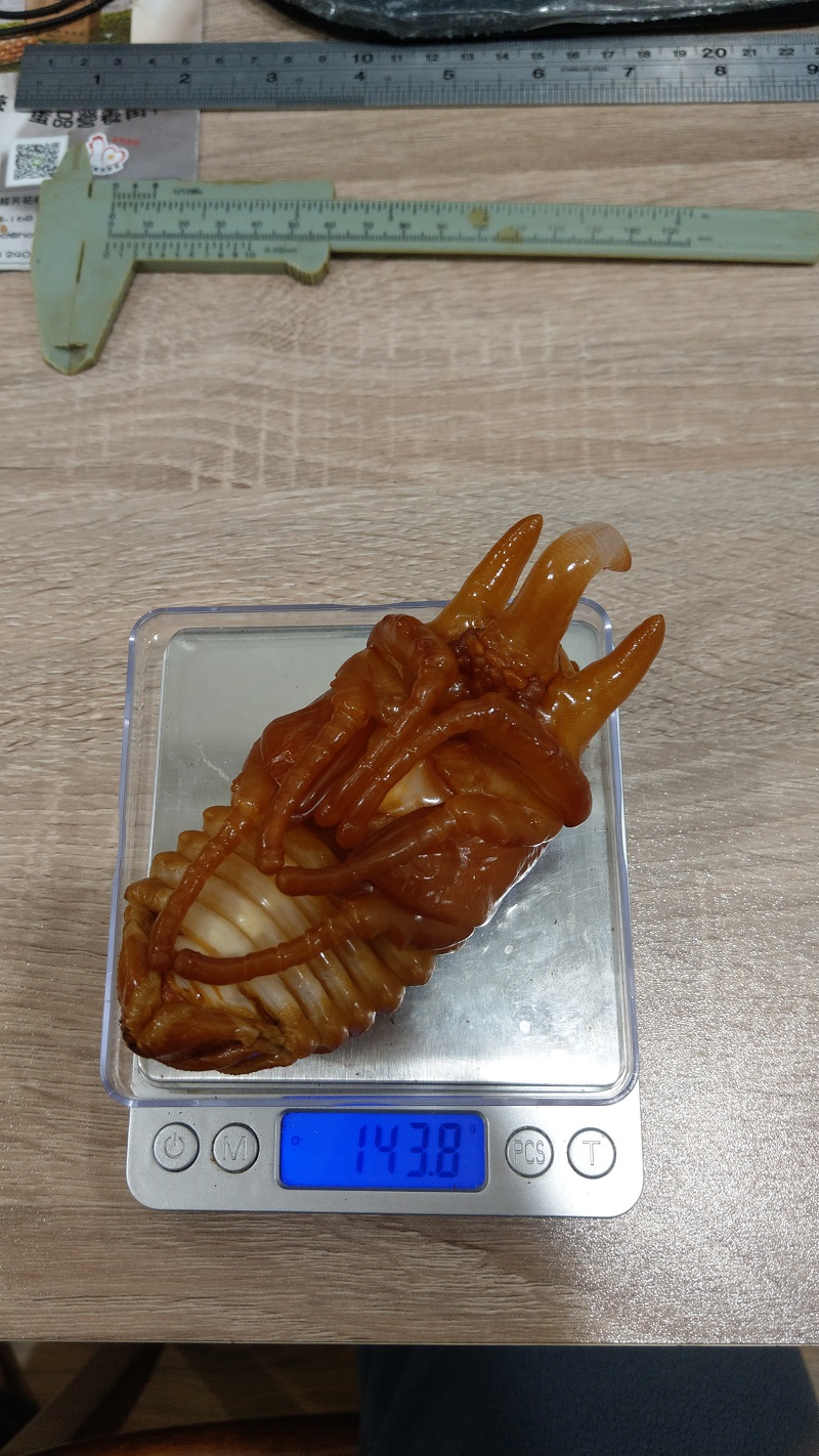 «ö¦¹¦b·sµøµ¡ÂsÄý¹Ï¤ù