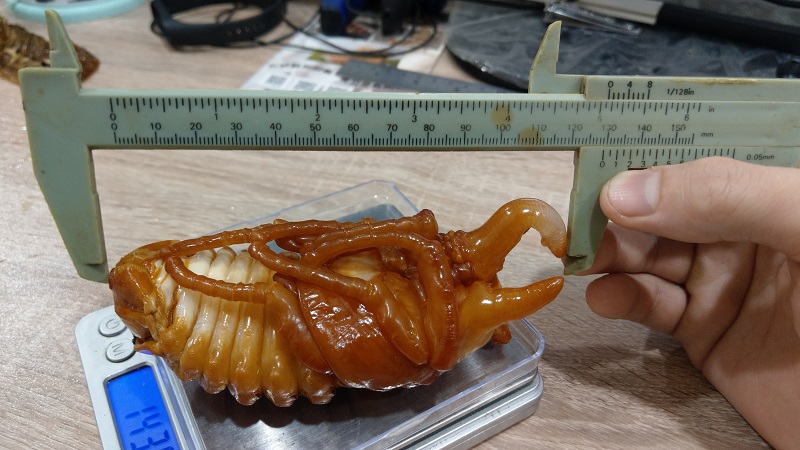 «ö¦¹¦b·sµøµ¡ÂsÄý¹Ï¤ù